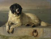 Landseer, Edwin Henry A Distinguished Member of the Humane Society USA oil painting artist